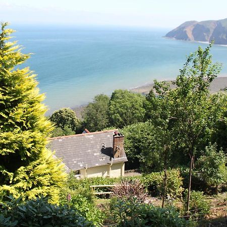 North Walk House Bed & Breakfast Lynton Eksteriør bilde