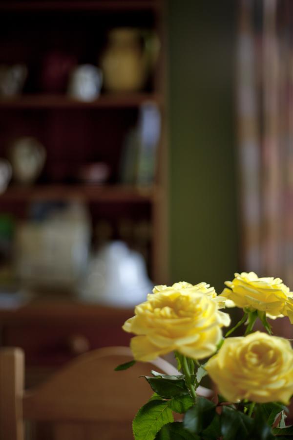 North Walk House Bed & Breakfast Lynton Eksteriør bilde